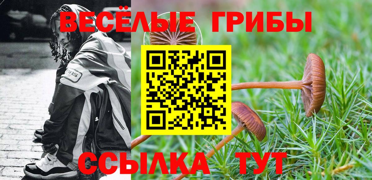 Галлюциногенные грибы Cubensis  Вход с VPN  Стрежевой 
